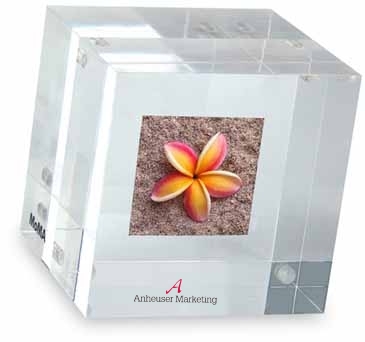 MOMA Double-Sided Photo Cube Paperweight