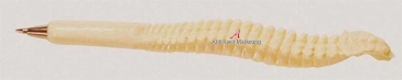 Spine Bone Pen